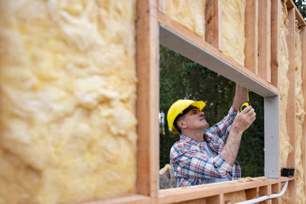 Best Basement Insulation  in Bristol, TN